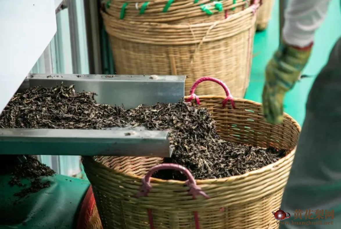“世界花梨看中国，中国花梨在海南，海南花梨数东方。